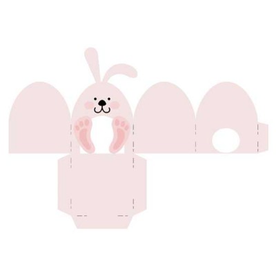 Bunny Box - CS
