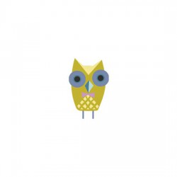 Hello There Owl - CS