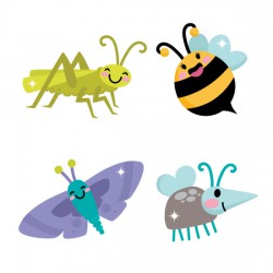 Cute Bugs - CS