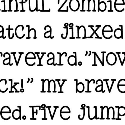 SNF School Yard Bold - FN