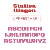ZP Station Wagon - FN - Sample 3