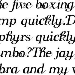 ZP Light Painter - FN