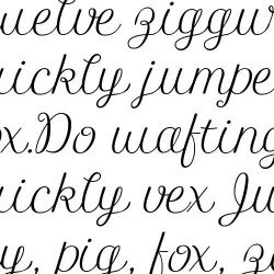 SNF Happily Ever After - FN