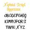 ZP Xiphoid Script - FN - Sample 2