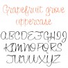 PN Grapefruit Grove- FN - Sample 2