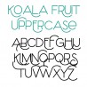 ZP Koala Fruit- FN - Sample 2
