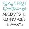 ZP Koala Fruit- FN - Sample 3