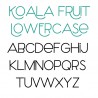ZP Koala Fruit- FN - Sample 3