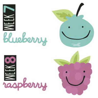 Milestones - Pregnancy - CS