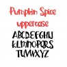 PN Pumpkin Spice - FN -  - Sample 2