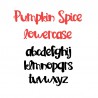 PN Pumpkin Spice - FN -  - Sample 3