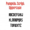 PN Pumpkin Script - FN -  - Sample 2