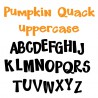 PN Pumpkin Quack - FN -  - Sample 2