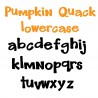PN Pumpkin Quack - FN -  - Sample 3