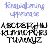 ZP Reawakening - FN -  - Sample 2