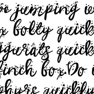 ZP Snappy New Years - FN