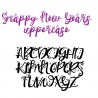 ZP Snappy New Years - FN -  - Sample 2