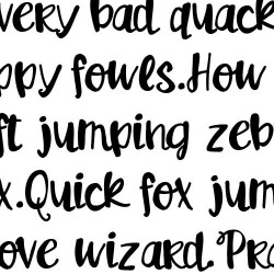 ZP Ginger Doodle - FN