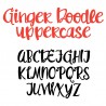 ZP Ginger Doodle - FN -  - Sample 2