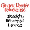 ZP Ginger Doodle - FN -  - Sample 3