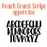 PN Peach Crumb Script - FN -  - Sample 2