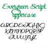 PN Evergreen Script - FN -  - Sample 2