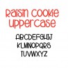 ZP Raisin Cookie - FN -  - Sample 2