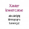 ZP Xavier - FN -  - Sample 3