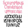 PN Scrumptious Condensed Regular - FN -  - Sample 2