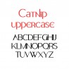 ZP Catnip - FN -  - Sample 2