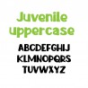 ZP Juvenile - FN -  - Sample 2