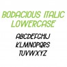 ZP Bodacious Italic - FN -  - Sample 3