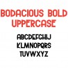 ZP Bodacious Bold - FN -  - Sample 2
