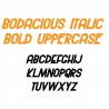 ZP Bodacious Italic Bold - FN -  - Sample 2