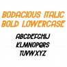 ZP Bodacious Italic Bold - FN -  - Sample 3