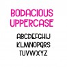 ZP Bodacious - FN -  - Sample 2