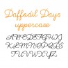 ZP Daffodil Days - FN -  - Sample 3