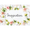PN Imagination - FN -  - Sample 1