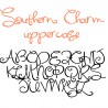 ZP Southern Charm - FN -  - Sample 3