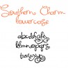 ZP Southern Charm - FN -  - Sample 4