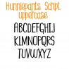ZP Hunniepants Script - FN -  - Sample 2