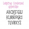 ZP Leapfrog Condensed - FN -  - Sample 2