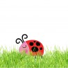 HIde and Seek - CS -  - Sample 4