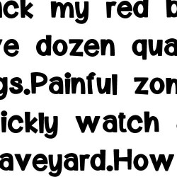 ZP Mosheemi More - FN