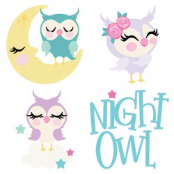 Night Owls - CS