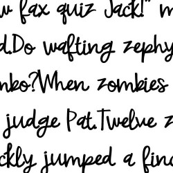 ZP Maury Me Bold - FN