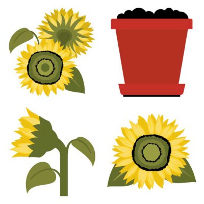 Sunflowers - GS