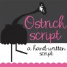 ZP Ostrich Script - FN -  - Sample 2