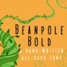 PN Beanpole Bold - FN -  - Sample 2