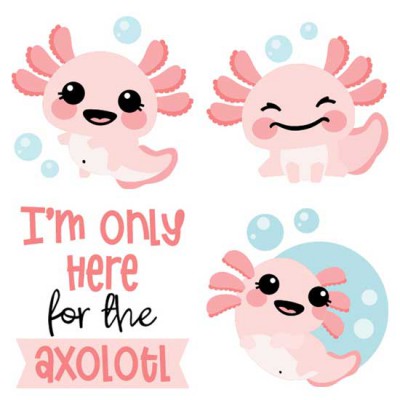Happy Axolotl - CS
